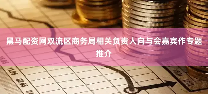 黑马配资网双流区商务局相关负责人向与会嘉宾作专题推介