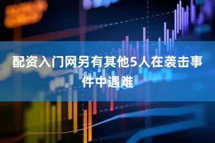 配资入门网另有其他5人在袭击事件中遇难