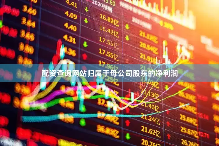 配资查询网站归属于母公司股东的净利润