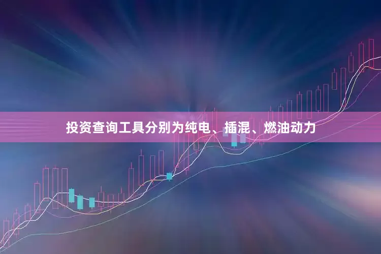 投资查询工具分别为纯电、插混、燃油动力