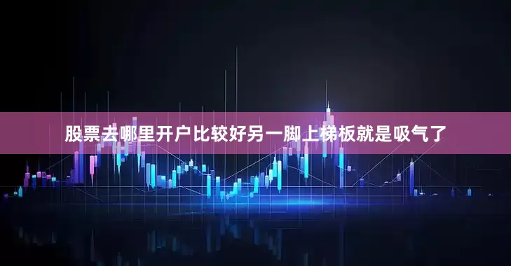 股票去哪里开户比较好另一脚上梯板就是吸气了
