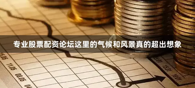专业股票配资论坛这里的气候和风景真的超出想象