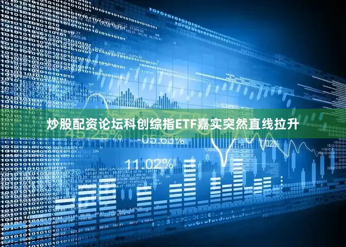 炒股配资论坛科创综指ETF嘉实突然直线拉升